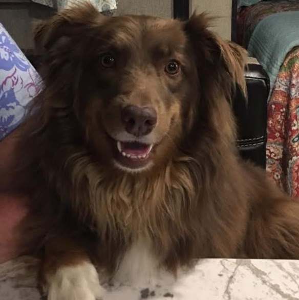 Nala
