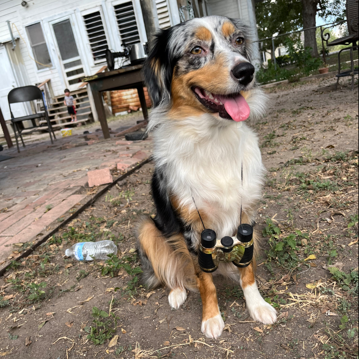 Bonnie Lou