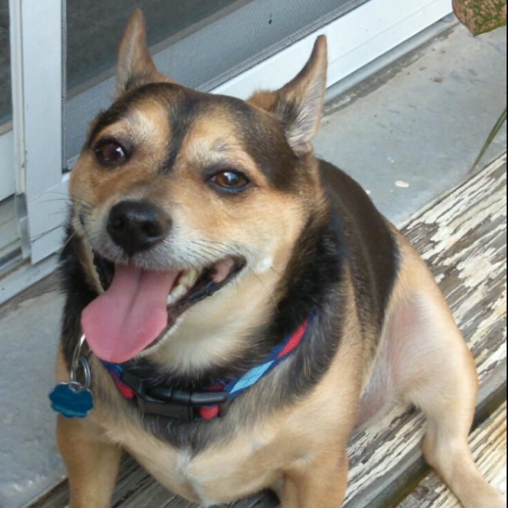 Buddy