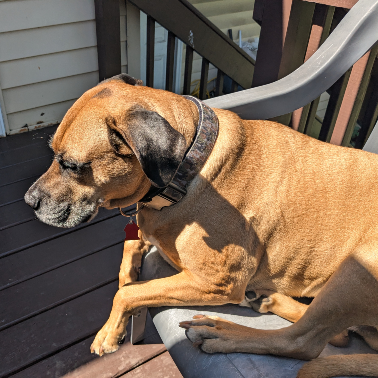 Murphy