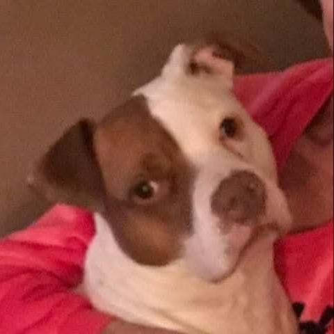 Jada