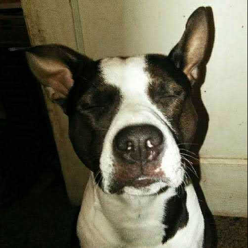 Tux
