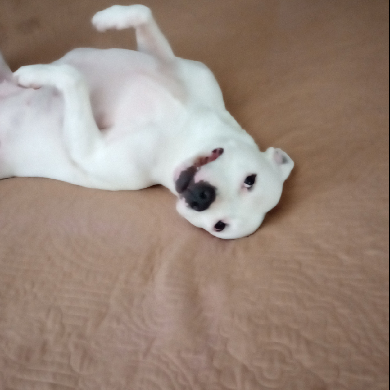 Zoey