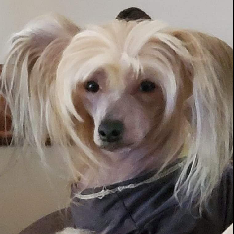 Ajax