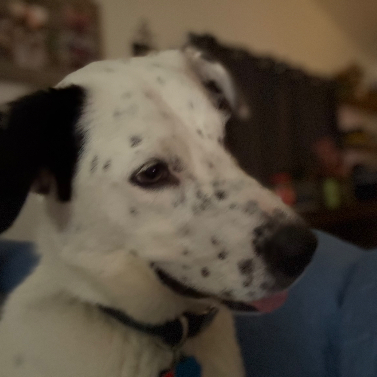 Jack Sparrow McDonald