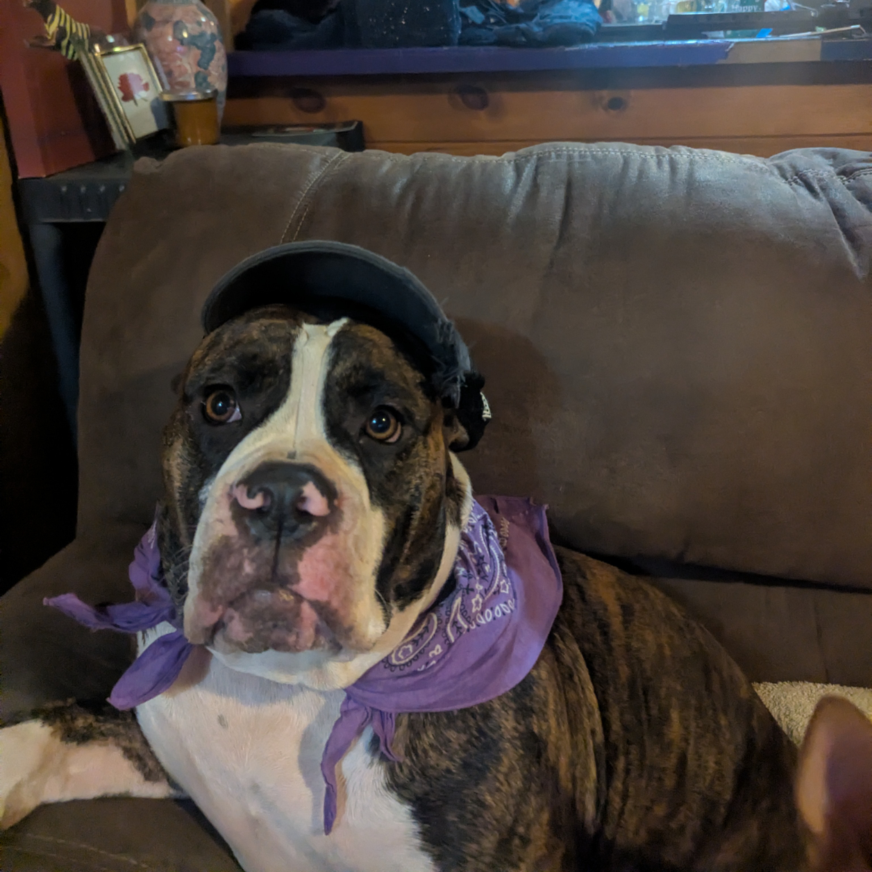 Magica Cleopatra Dispel